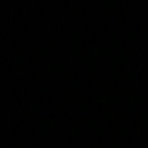 Meet your Posher, Riley